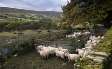 Report: Paying farmers to sequester CO2 far cheaper than carbon capture tech