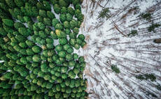 SBTi: Board accused of 'damaging trust' as row over role of carbon offsets escalates