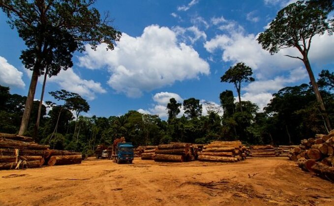 Global Briefing: UN body adopts carbon market human rights protections