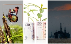 Progress on nature-related reporting, Labour's green investment plans, and North Sea drilling