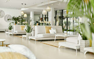 Fossil fuel-free hotels: IHG Hotels & Resorts launches sustainable hotel community