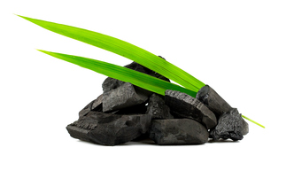 Activated charcoal: University of Cambridge researchers unveil new CO2 removal method