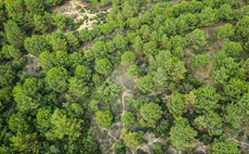 What's holding back corporate demand for carbon credits?