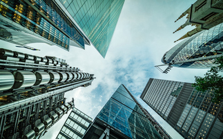 US green groups back proposed SBTi rule change to boost corporate carbon credit use