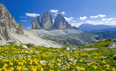 'Strengthen - not weaken': Big business calls for policies that drive action on nature