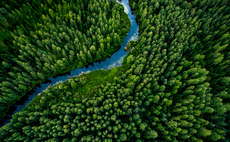 BusinessGreen Intelligence Whitepaper: How can businesses get TNFD ready?