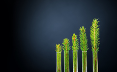 In focus: What do businesses need to know about 'beyond value chain mitigation'?