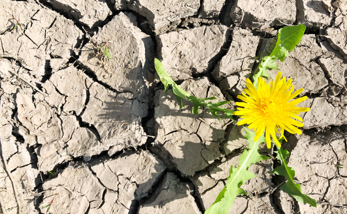 Drought warnings: Water firms face fresh calls to crack down on leaks