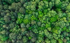 'Natural capital 101': IEMA guide seeks to unpack benefits of natural capital