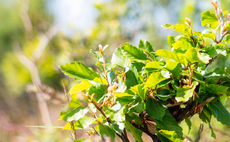 New SBTi reports aim to extend corporate climate action beyond value chains