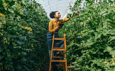 In focus: Winning the war for green talent