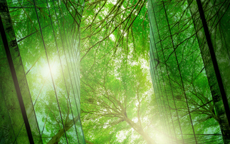 Nature's Workforce: Campaign urges UK staff to lobby for workplace nature action