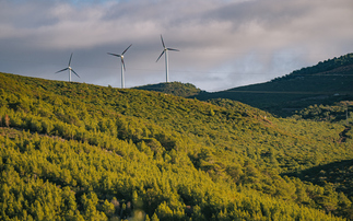 Is the world ready to move into an 'energy substitution' phase?