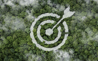 'Important milestone': SBTN updates technical guidance for firms setting corporate nature targets