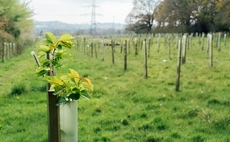 Octopus Investments plots move into nature-based carbon credits market