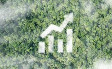 Study: Higher quality carbon credits commanding price premium of around 200 per cent
