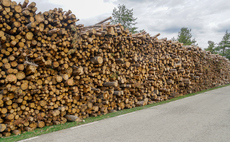 NAO: Government 'cannot currently demonstrate' whether biomass power plants are sustainable