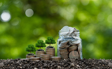 NGOs call for exclusion of carbon offset credits from corporate climate goals