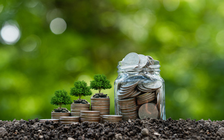 NGOs call for exclusion of carbon offset credits from corporate climate goals
