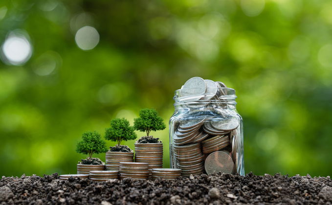 NGOs call for exclusion of carbon offset credits from corporate climate goals