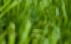 Misleading and unsubstantiated: Advertising watchdog rules against plastic grass firm's 'eco-friendly' claims