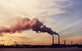 World Bank: Carbon pricing revenues hit $100bn in 2023, but prices remain unaligned with climate goals