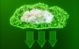BSI and CISL launch accelerator to support digital carbon market start-ups