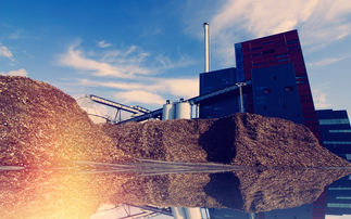 Biomass Strategy: Energy industry urges government to deliver 'workable routes to market' for BECCS