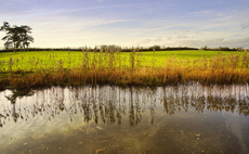 'Oxford Offsetting Principles': Report calls for carbon offset market 'course correction'
