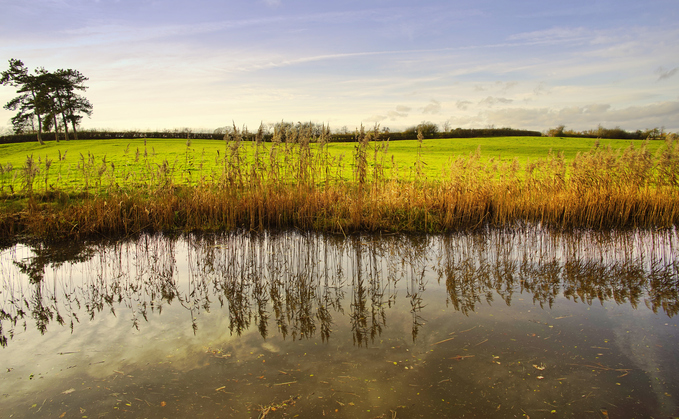 'Oxford Offsetting Principles': Report calls for carbon offset market 'course correction'