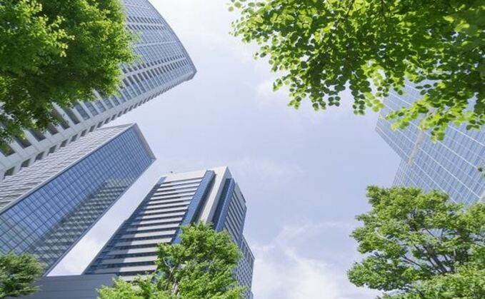 Universal ownership and the role of stewardship for net zero