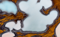 What to expect from voluntary carbon markets in 2024