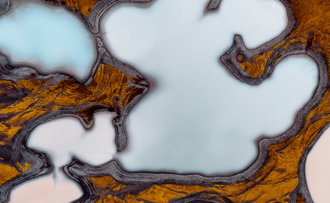 What to expect from voluntary carbon markets in 2024