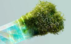 In focus: Plug and play or robot takeovers? How green businesses can harness 'disruptive' AI