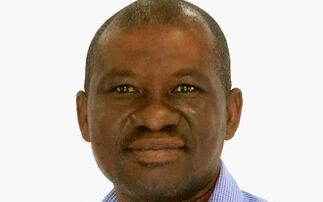 Cocoa in Côte d'Ivoire: Balancing current risk and opportunity for farmers 