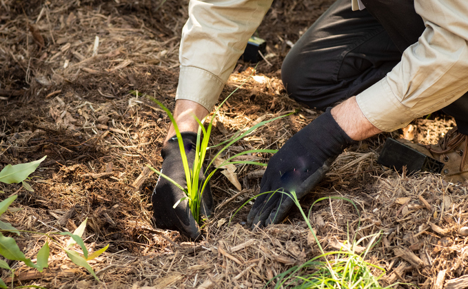 Could carbon offsets play a major role in tackling supply chain emissions after all?