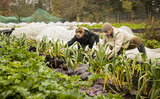 'Ripple effect': Sodexo to ditch suppliers failing to make 'tangible' climate progress by 2030