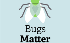 Splat tracking: Openreach fleet joins UK-wide insect biodiversity survey