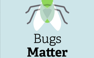 Splat tracking: Openreach fleet joins UK-wide insect biodiversity survey